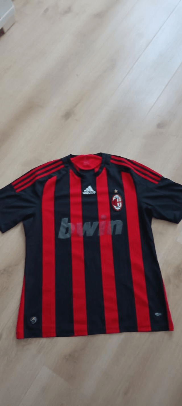 Ac Milan thuis 2008/09
