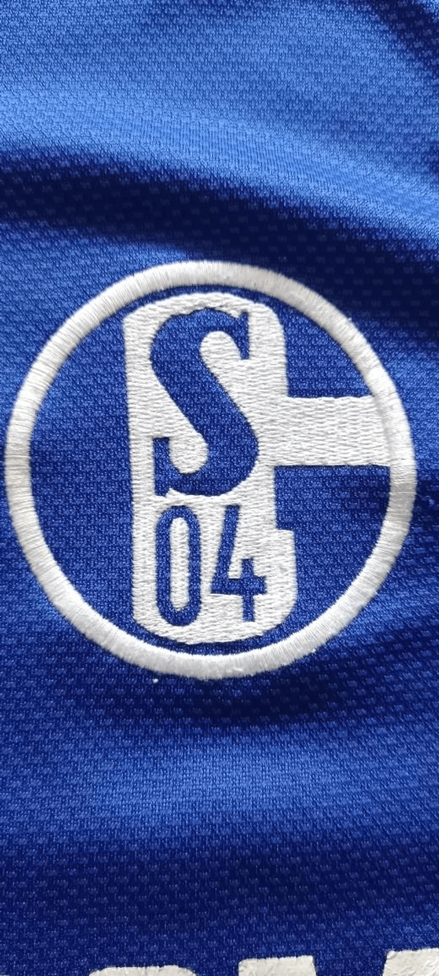 Shalke 04 2008/2010