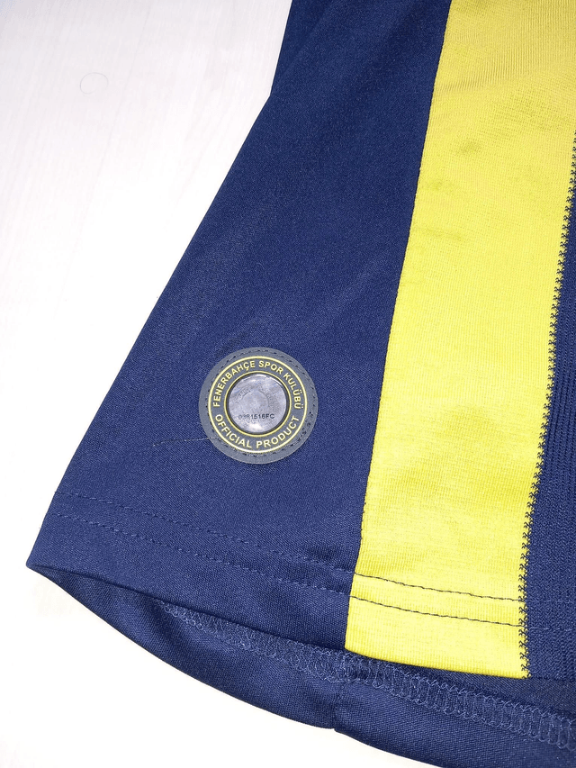 Fenerbahce 2014/2015