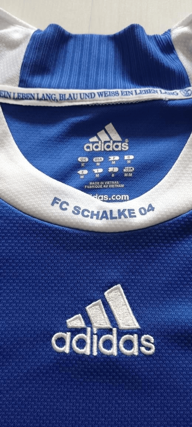 Shalke 04 2008/2010