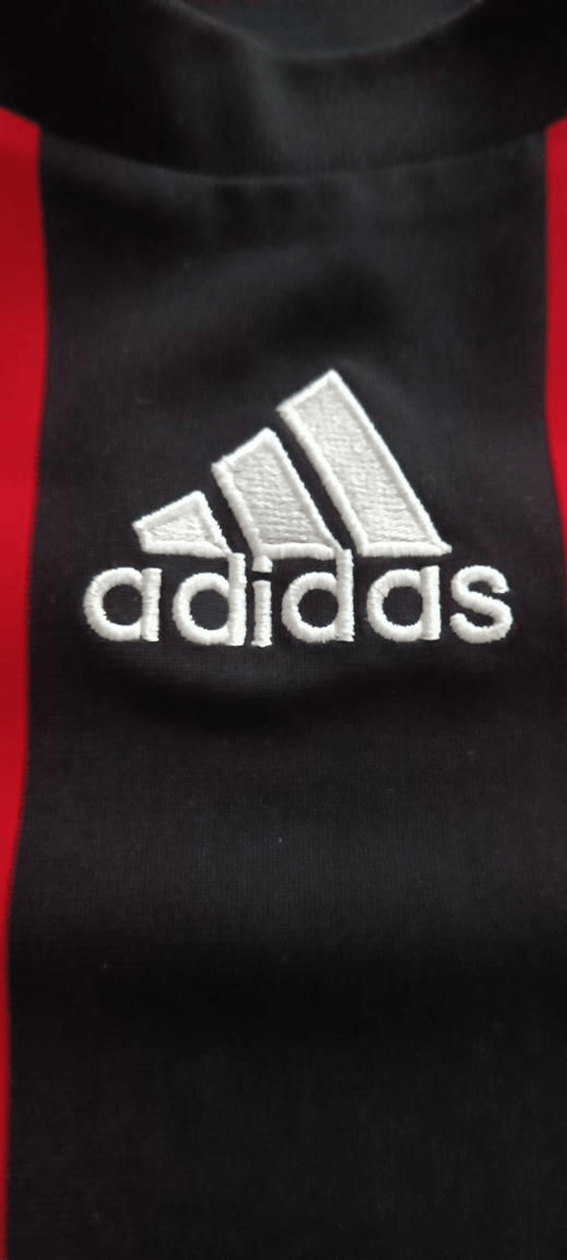 Ac Milan thuis 2008/09