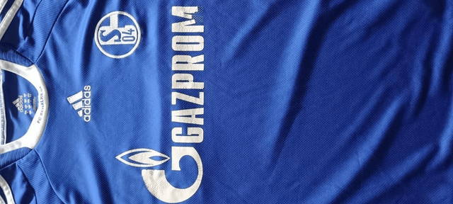 Shalke 04 2008/2010