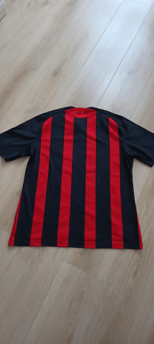 Ac Milan thuis 2008/09
