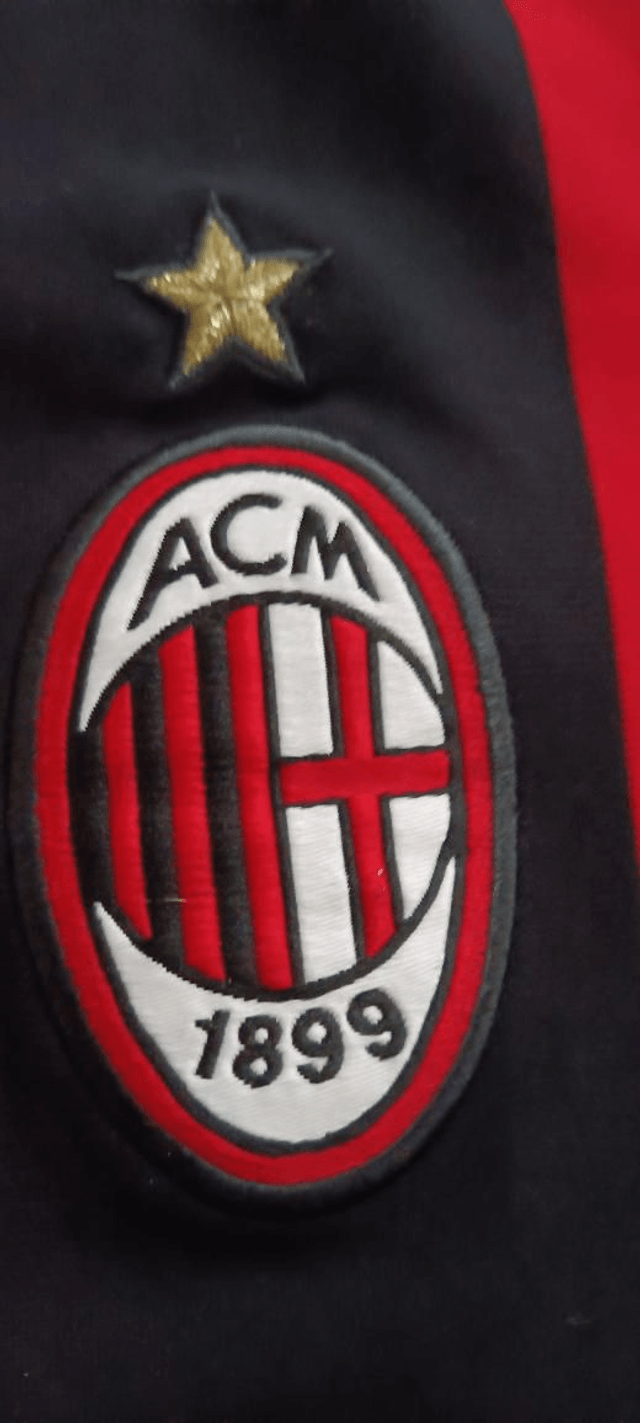 Ac Milan thuis 2008/09