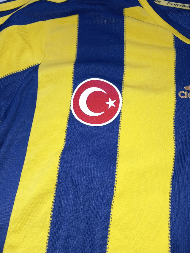 Fenerbahce 2014/2015