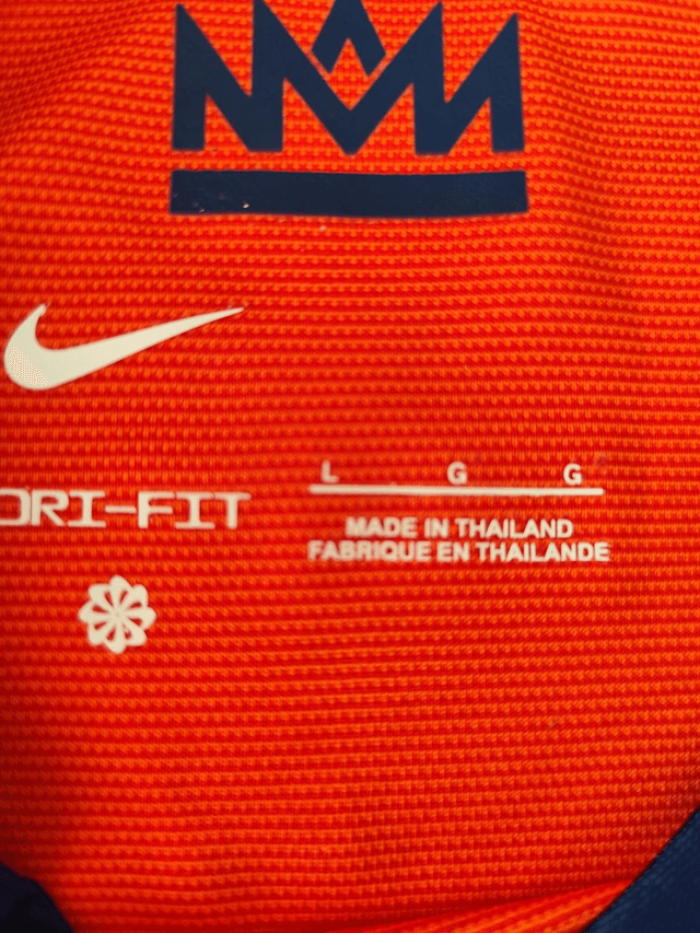 Gesigneerd Wesley Sneijder Nederlands elftal shirt