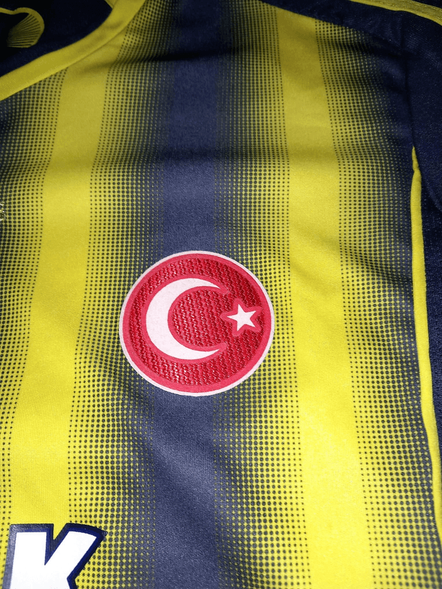 Fenerbahçe 2013/2014