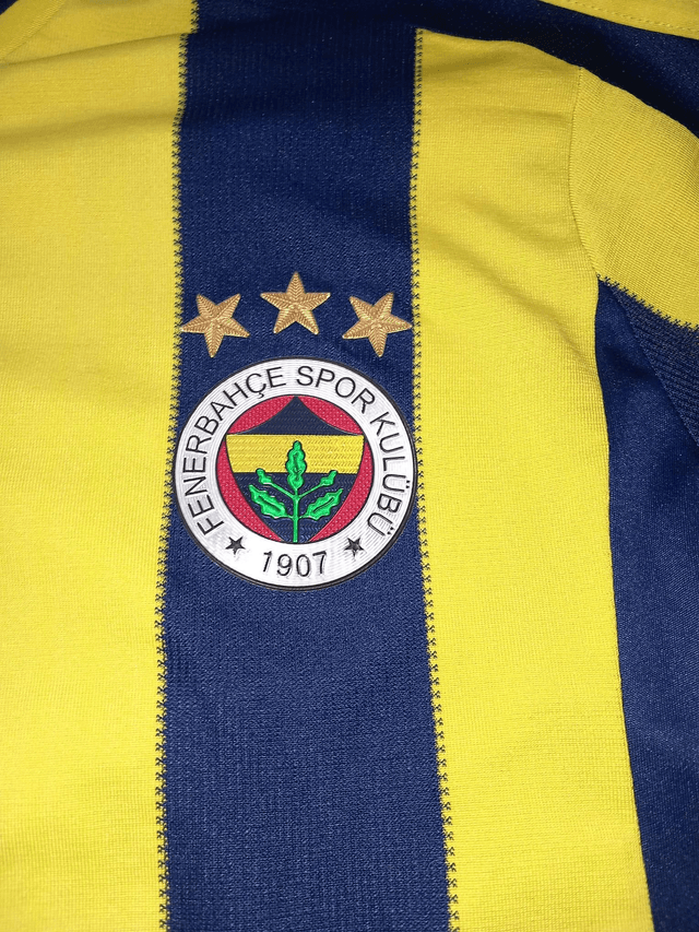 Fenerbahce 2014/2015