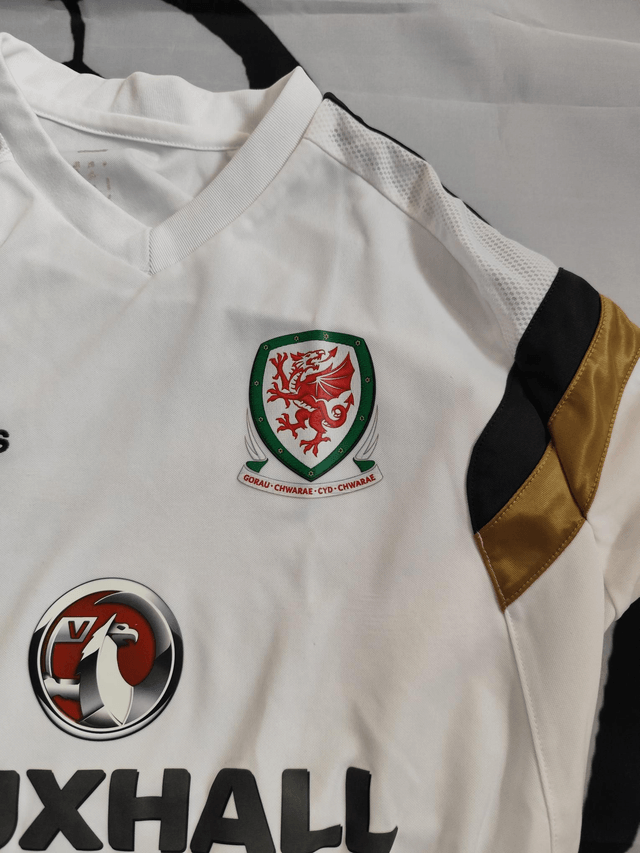 Wales Player Issue Training Shirt 2014/2015