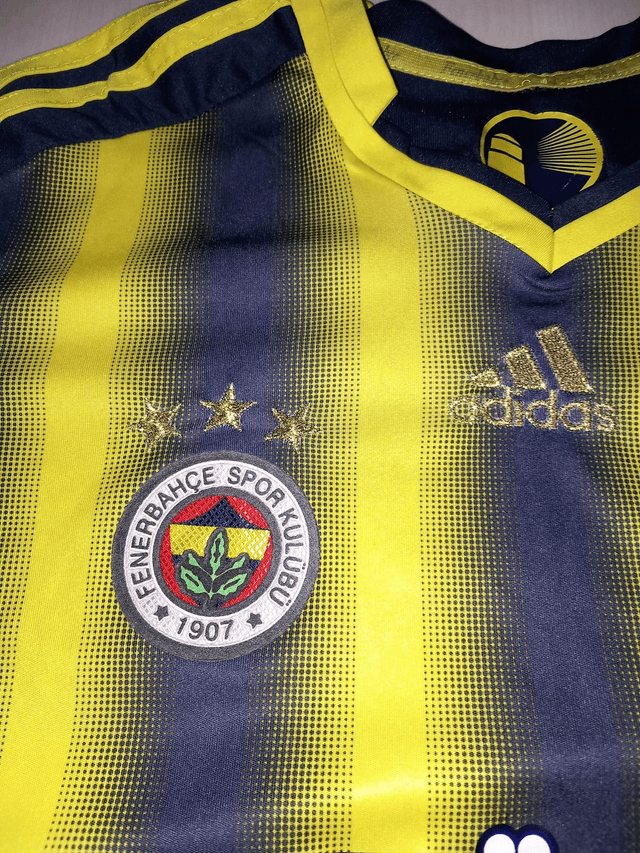 Fenerbahçe 2013/2014