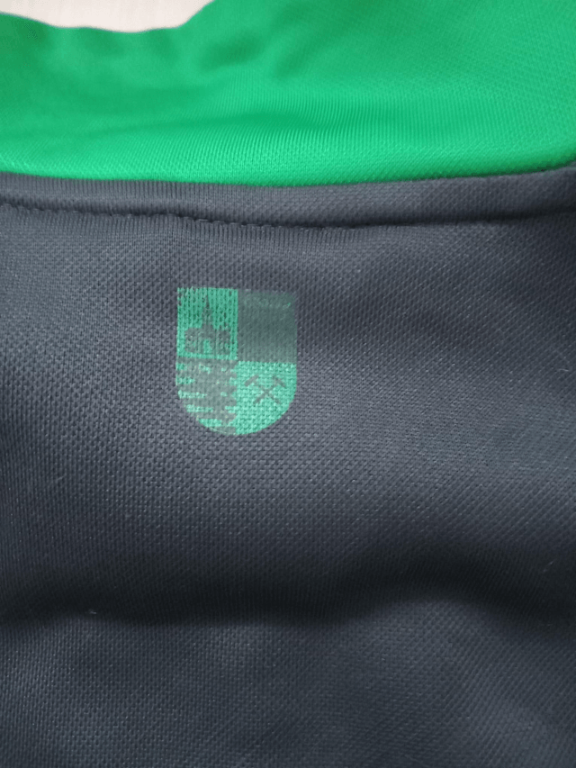 Schalke 04 Vest 2015/16