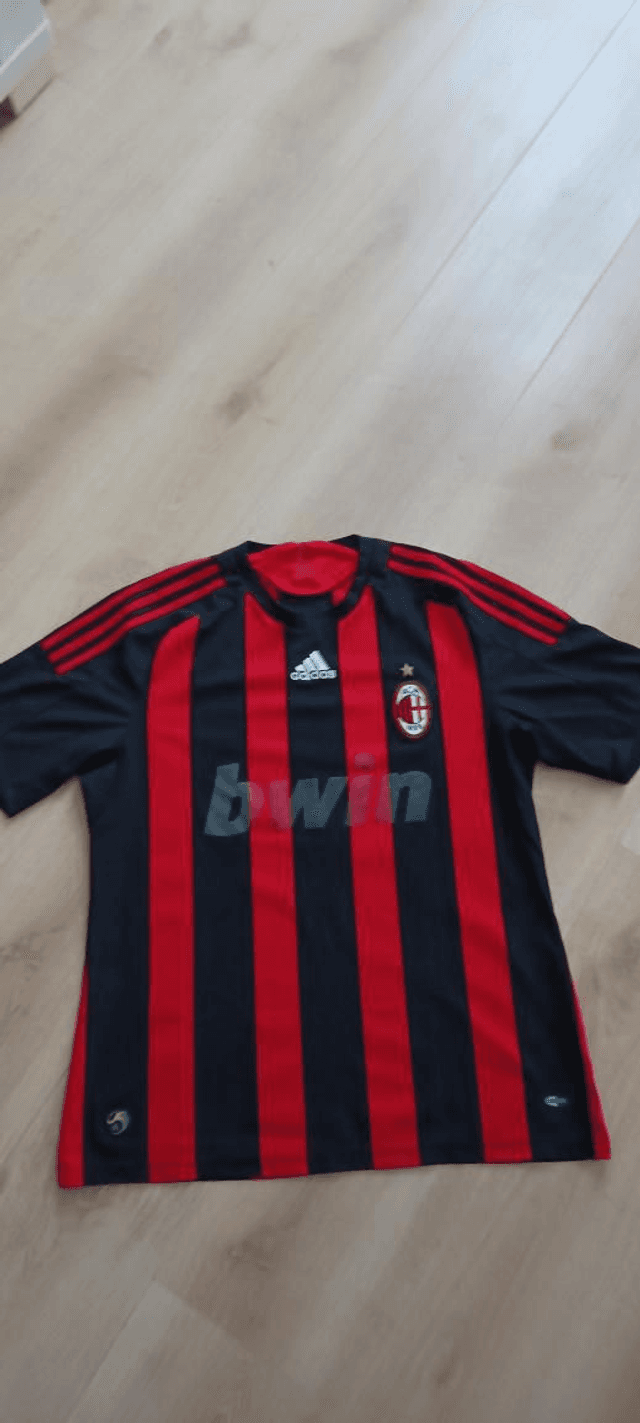 Ac Milan thuis 2008/09