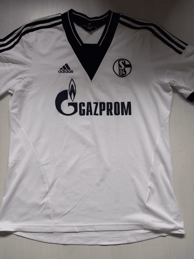 Shalke 04 2013/14