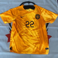 Gesigneerd Nederlands Elftalshirt van Denzel Dumfries