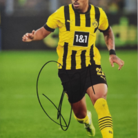 Gesigneerde Foto van Donyell Malen met Certificaat