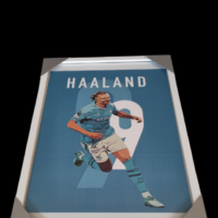 Lijst Haaland