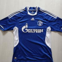 Shalke 04 2008/2010