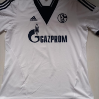 Shalke 04 2013/14