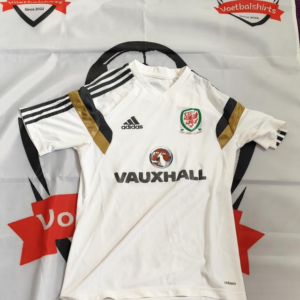 Wales Player Issue Training Shirt 2014/2015